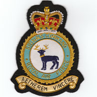 RAF Signals Command Blazer badge